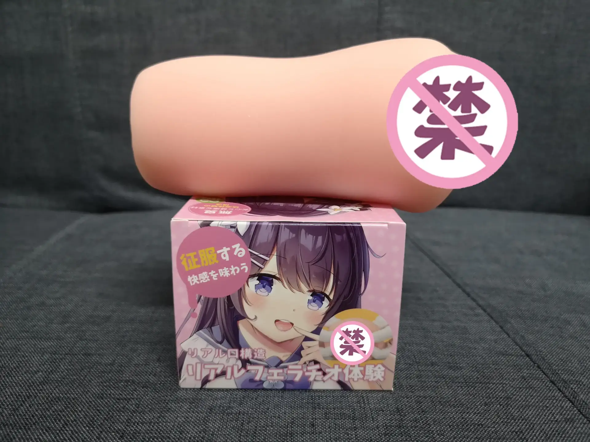 本体1