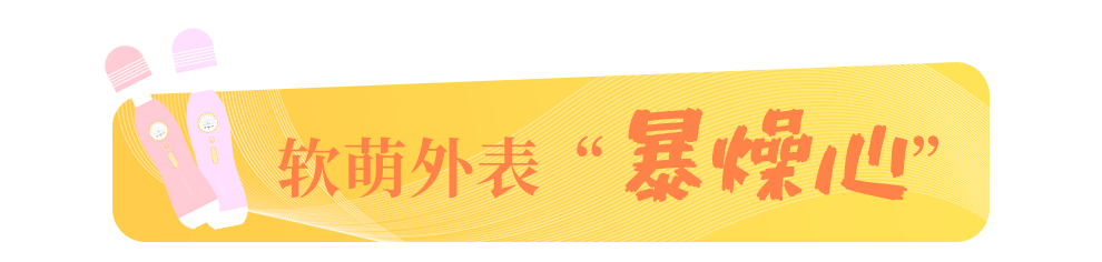 外观2