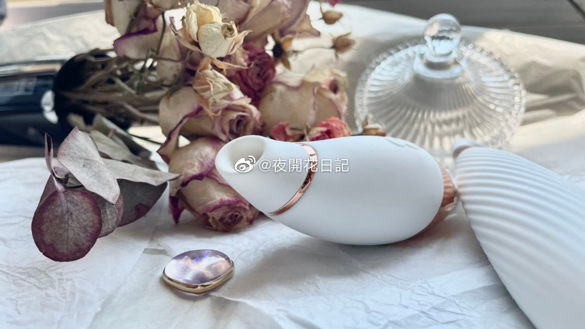 外观尺寸