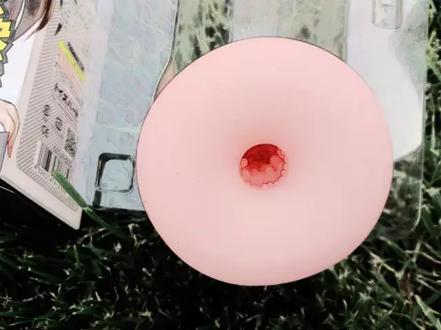 内部构造