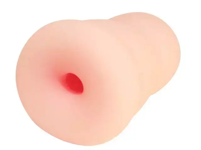 刺激系结构