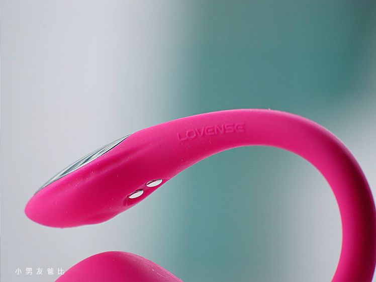 Lovense Lush 4