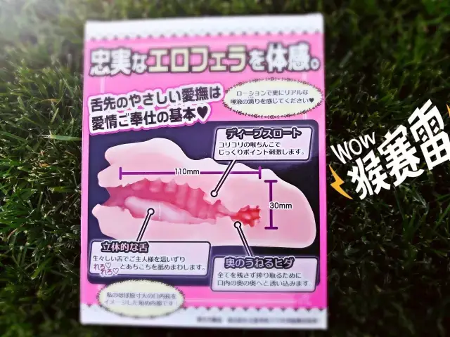 使用演示