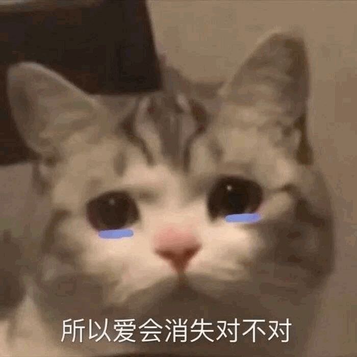 相识与分开