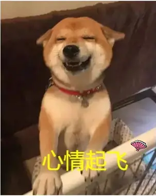 真实之口