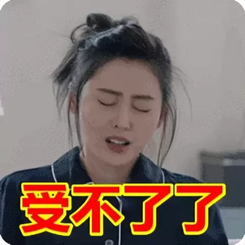 外观2