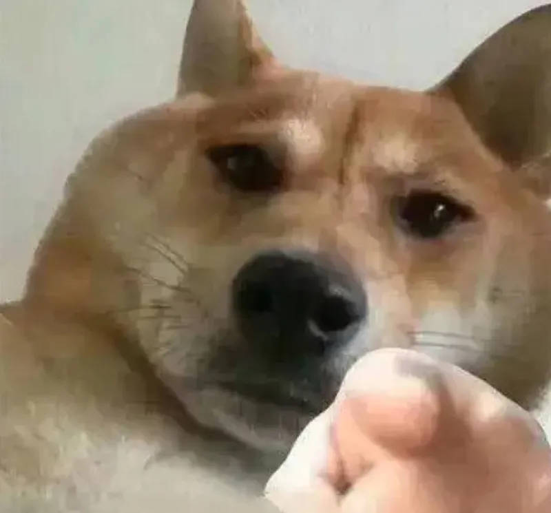 四种情况对比