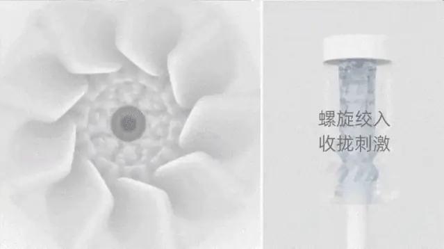 紧致款演示