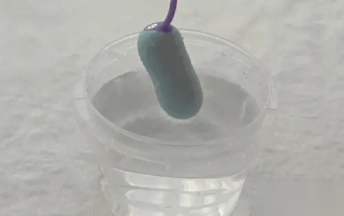 清洗方便