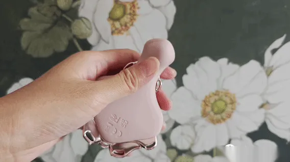 分体组合