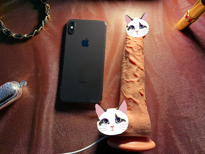 与iPhone XS Max大小对比