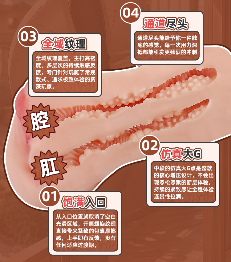 外观展示